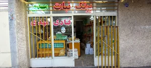 قنادی مهدی