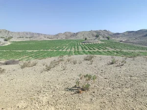 روستای بی بی گهر