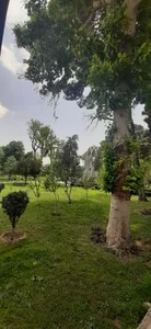 بوستان فدک 2