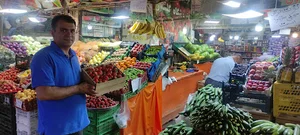 میوه فروشی رامان