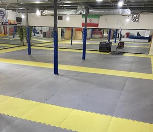 باشگاه آزادی