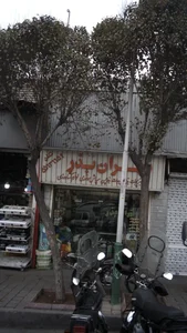 تهران بذر 2