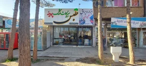 فروشگاه سبزیجات پودینه طبس 2