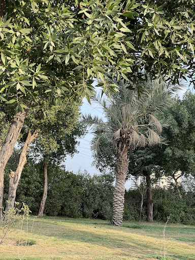 فضای سبز