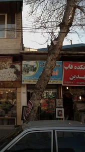 مشاور املاک اطراء 5