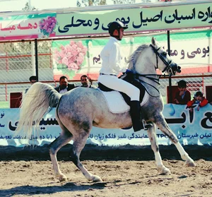 باشگاه سوارکاری رخش رفسنجان