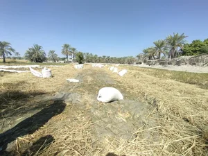 فروشگاه کشاورزی گیل یاران 2