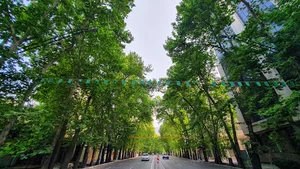 خیابان ولیعصر
