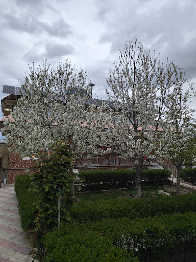 Alamzai's House