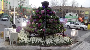 موسسه نور