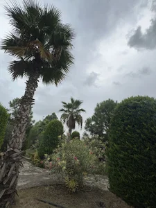 مجتمع کوثر