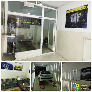 کارشناس رنگ شاهان