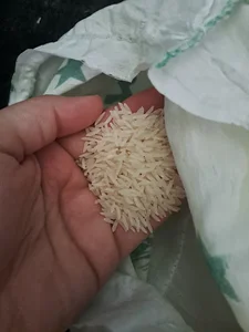 برنج ایرانی 14 (Iranian Rice 14)