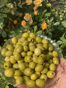 عطاری هادیپور