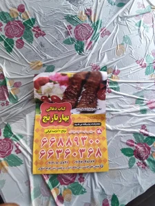کباب ذغالی بهار نارنج 4