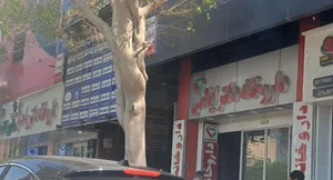 داروخانه دکتر ایلامی