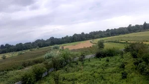 سیاهکلا