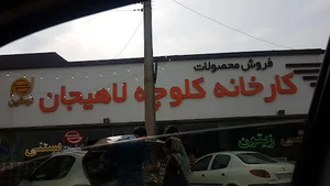 نوشین نادری نادی جوادیان شاهپور کلوچه