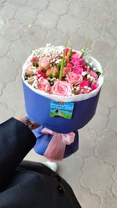 شادگل