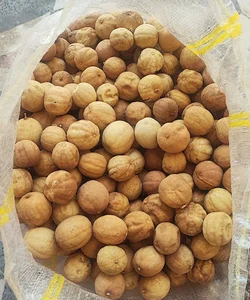 مرکز فروش لیموندا (آذرخش سیر ایرانیان)