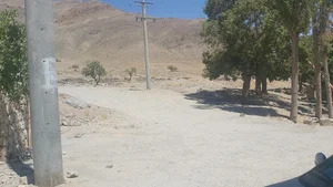جزاوند