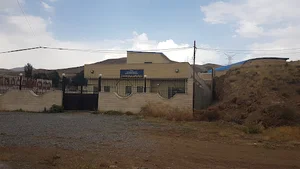 سازمان پزشکی قانونی