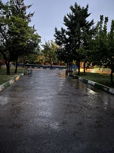 پارک کوی اتحاد