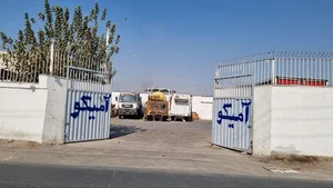 فروشگاه آمیکو