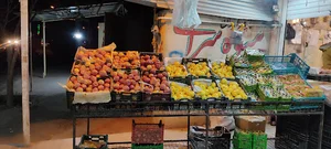 میوه سرای برادران رحمانی