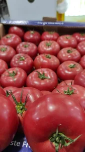 بازارچه میوه سبزی و پروتئین منتیان 3