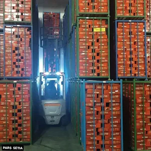 شرکت پارس ستیا Pars Setia Company