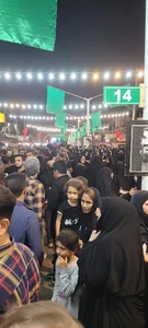 خیابان نخل