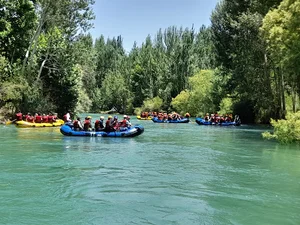 ایران رفتینگ