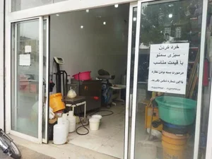 سبزی خرد کنی آق صفر 2