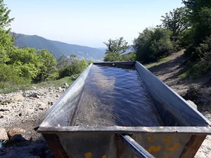 چشمه سیاه خانی