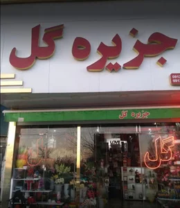 جزیره گل 2