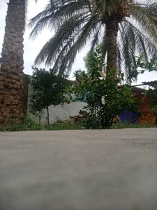 دبستان یاس فاطمی