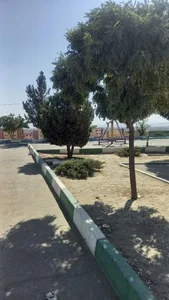 بوستان شهرک پیام البرز 2