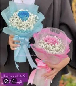 گلسرای شیرالی