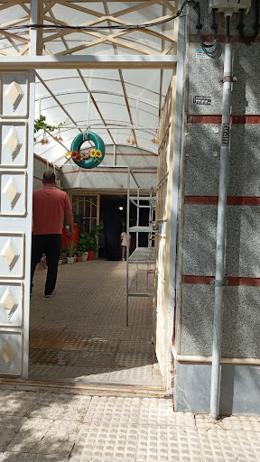 کارگاه سویق و سمنو گل گندم
