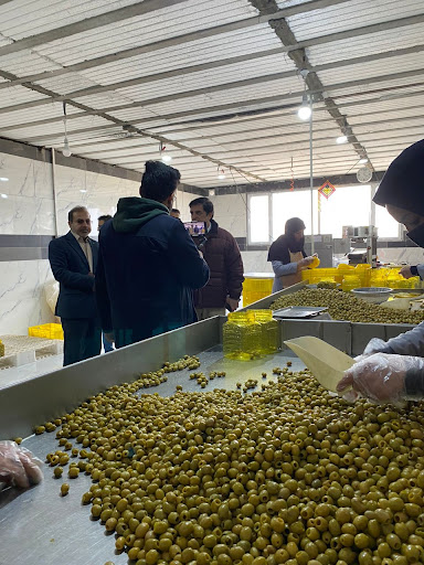 نوبرانه نگین زاگرس