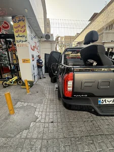 دزدگیر مسعود ژیانی