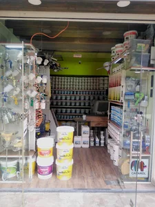 Shomal Paint & Insulation