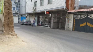 کیف و کفش پردیس