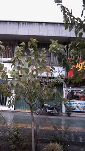 منسوجات مهر 2