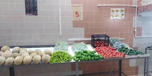 میوه سرای مادوتا 2