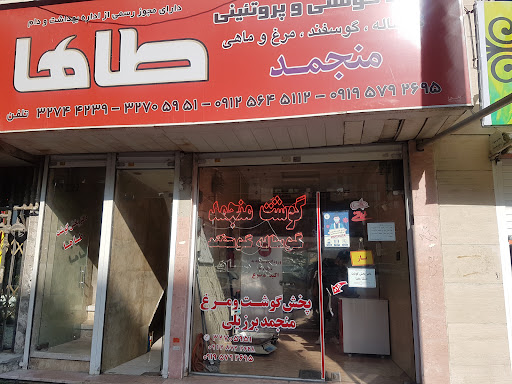 پخش گوشت منجمد طاها (وارداتی-ایرانی)