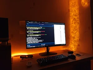 گیم نت زاهد ویناک فن