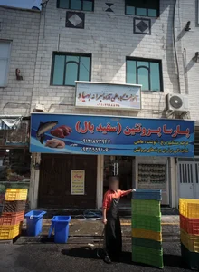 پارسا پروتئین سفید بال 2