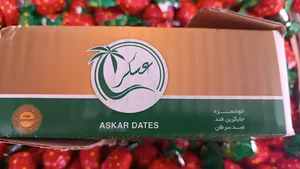 خرمای عسکر